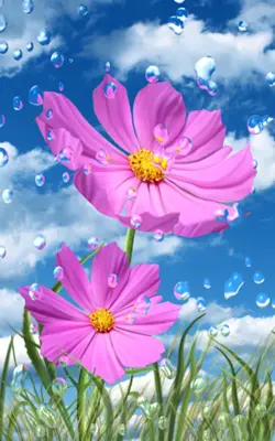 Flowers and Rain Drops android App screenshot 10