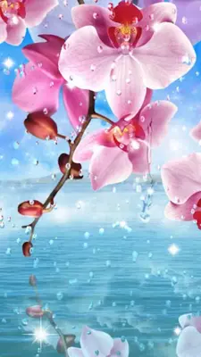 Flowers and Rain Drops android App screenshot 5