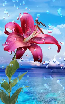 Flowers and Rain Drops android App screenshot 8